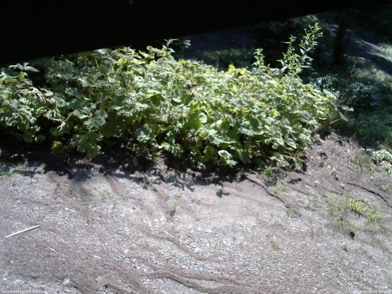 長野県菅平高原 ゆたか山荘 駐車場 2025/07/30 08:30