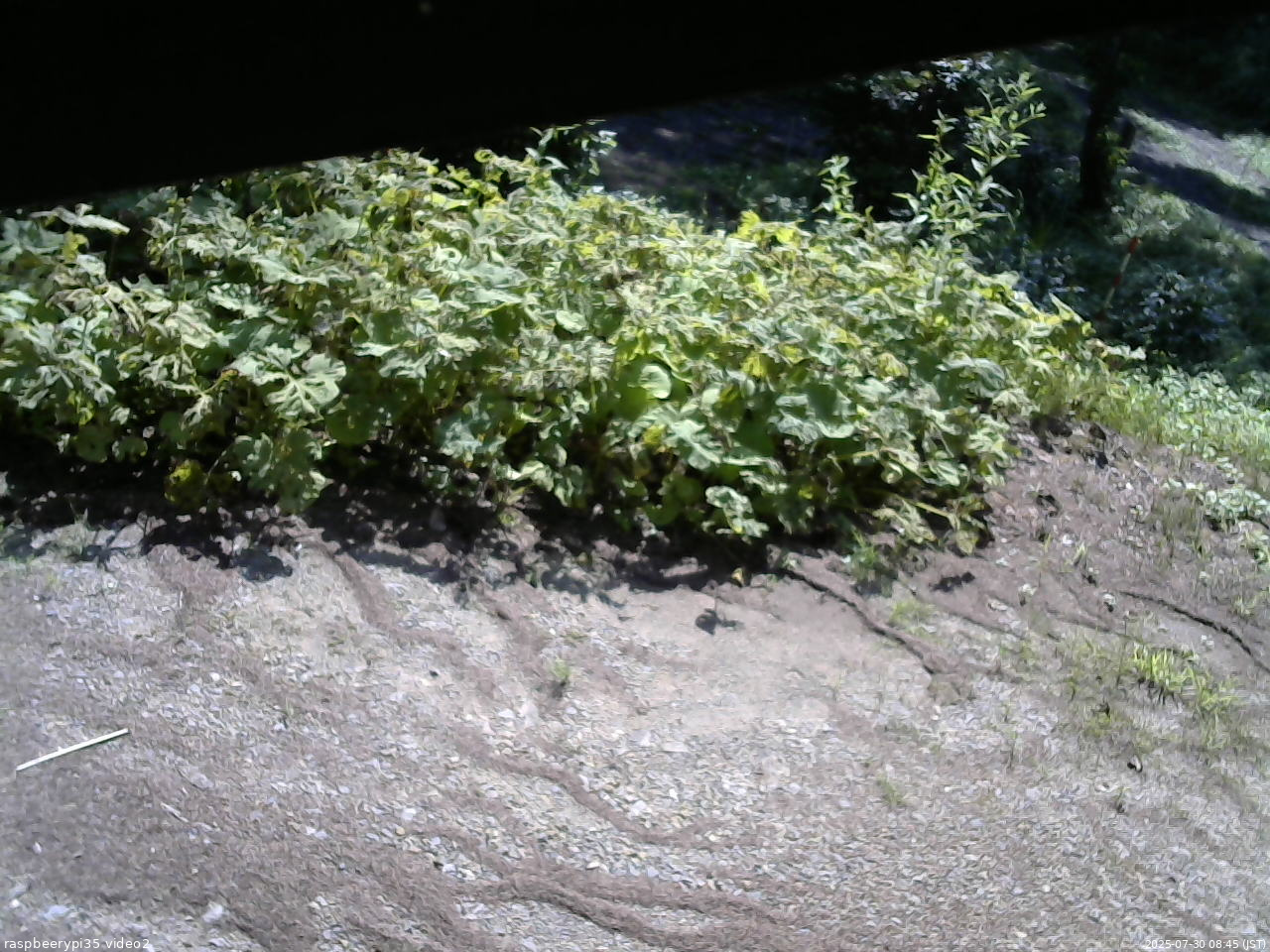 長野県菅平高原 ゆたか山荘 駐車場 2025/07/30 08:45
