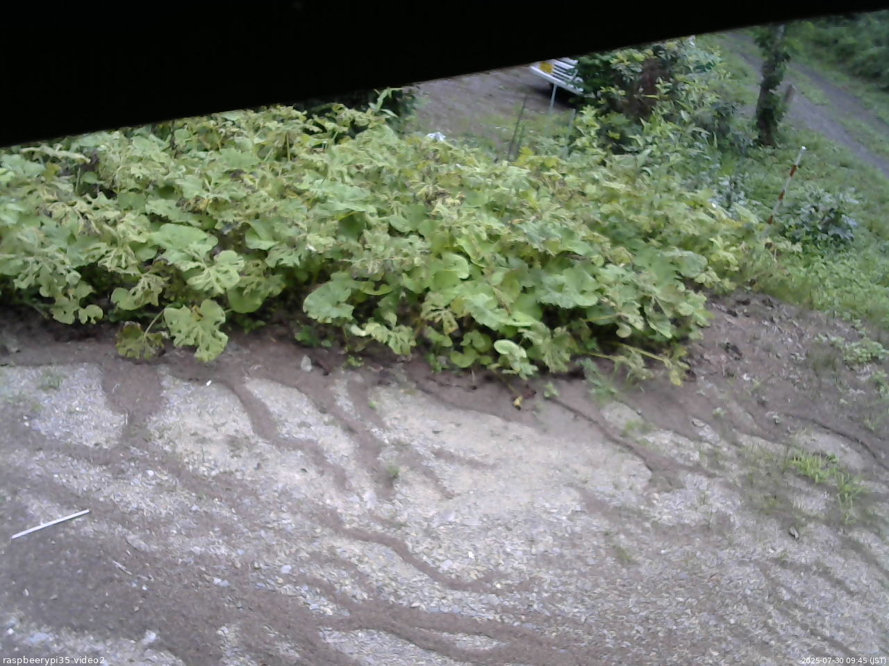 長野県菅平高原 ゆたか山荘 駐車場 2025/07/30 09:45