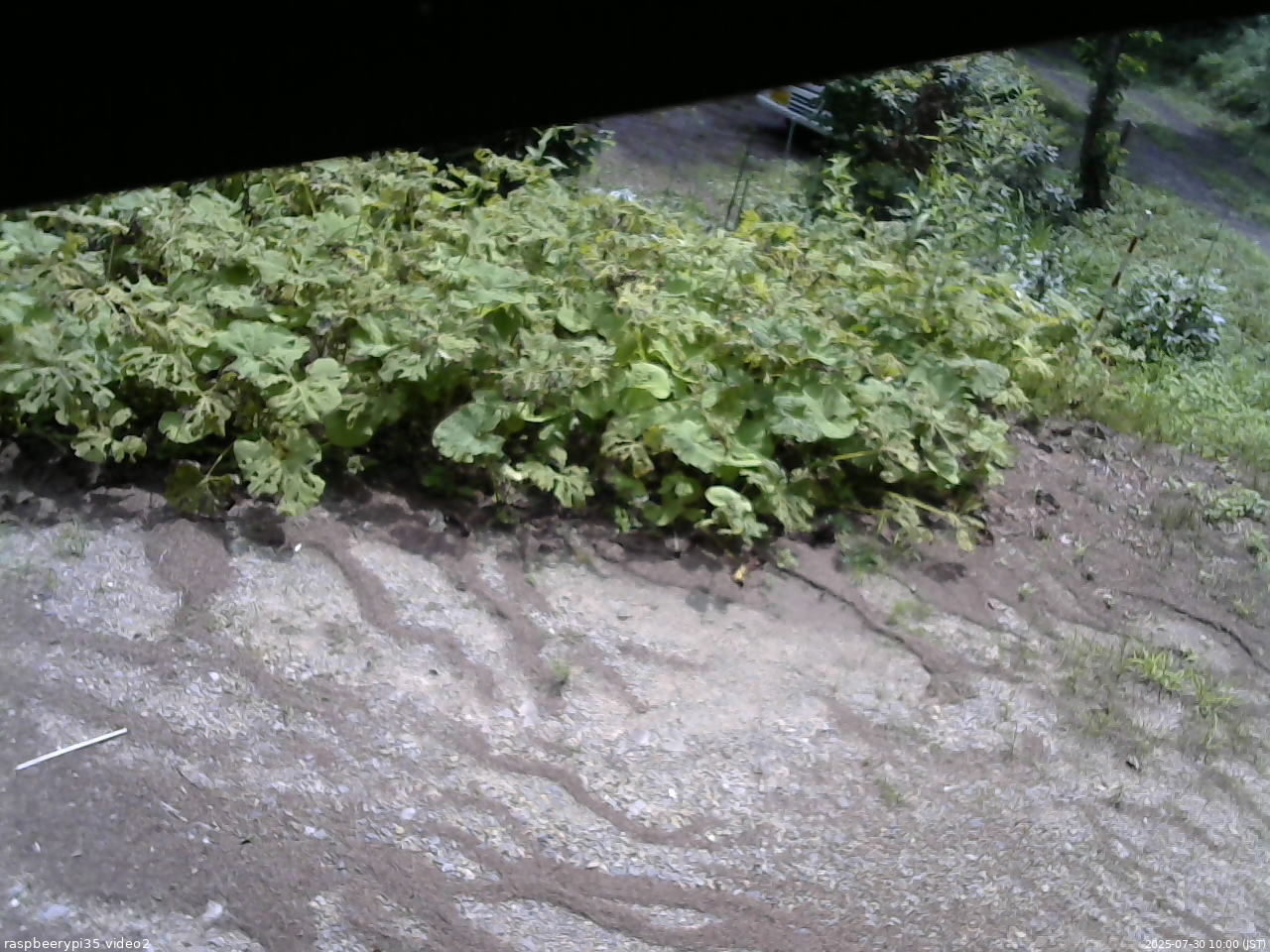 長野県菅平高原 ゆたか山荘 駐車場 2025/07/30 10:00