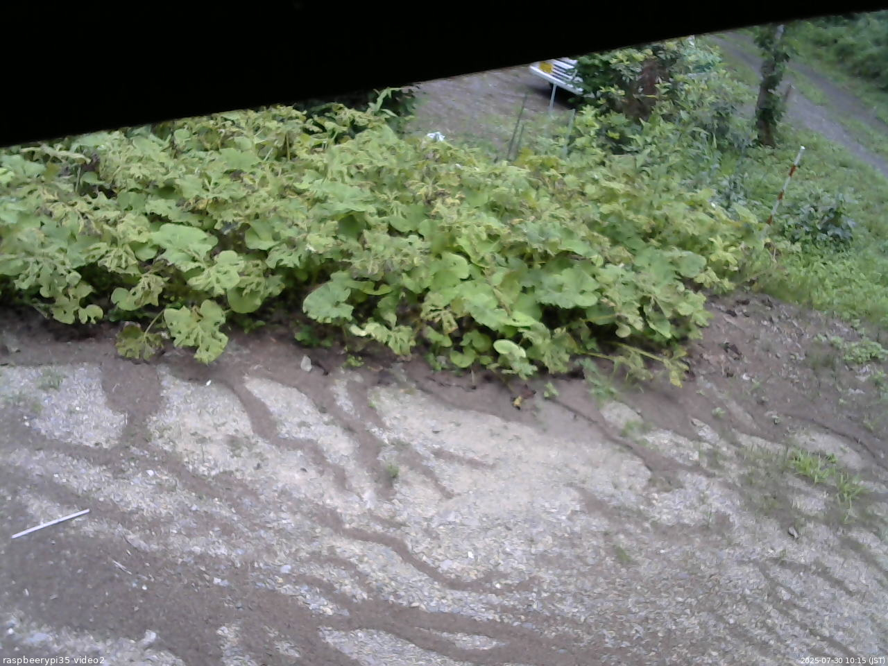 長野県菅平高原 ゆたか山荘 駐車場 2025/07/30 10:15