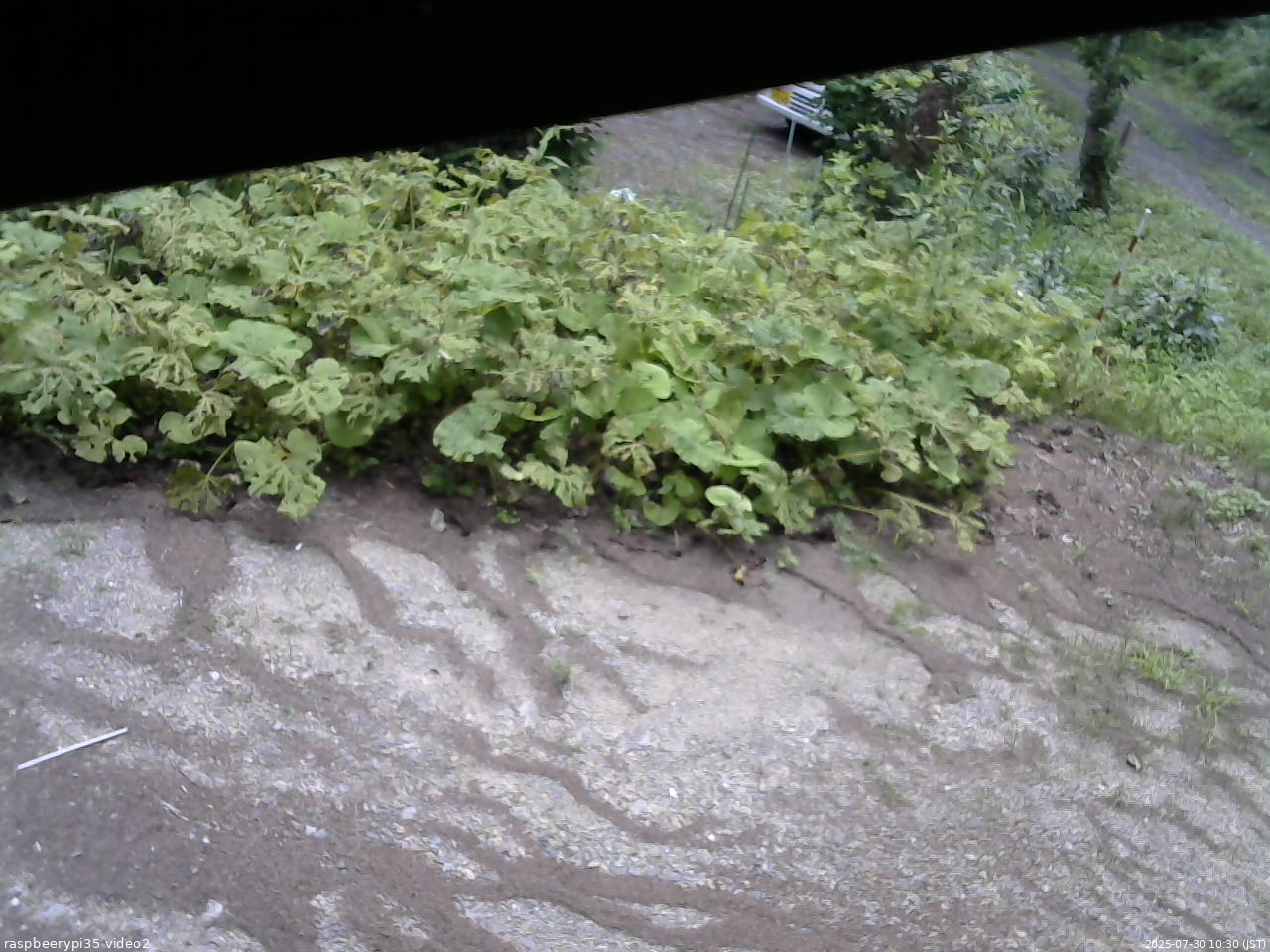 長野県菅平高原 ゆたか山荘 駐車場 2025/07/30 10:30