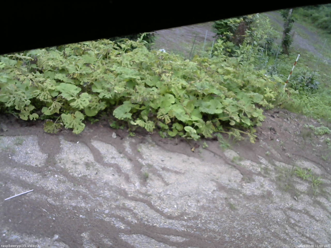 長野県菅平高原 ゆたか山荘 駐車場 2025/07/30 11:00