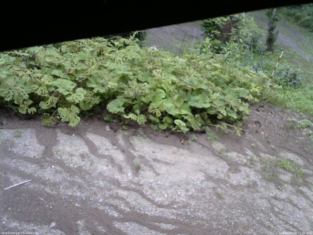 長野県菅平高原 ゆたか山荘 駐車場 2025/07/30 11:30