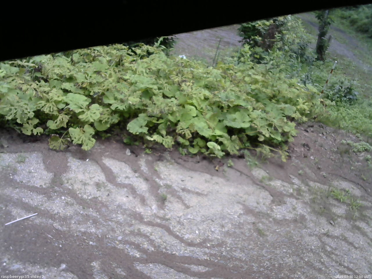 長野県菅平高原 ゆたか山荘 駐車場 2025/07/30 12:00
