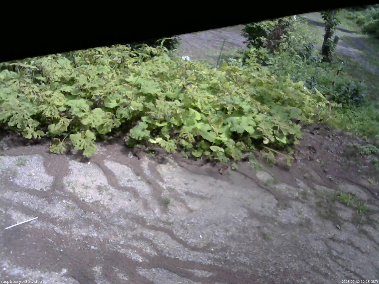 長野県菅平高原 ゆたか山荘 駐車場 2025/07/30 12:15