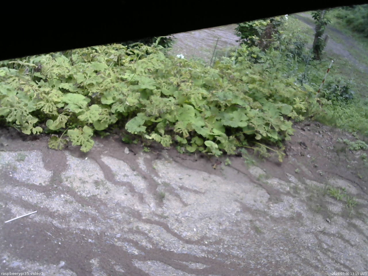 長野県菅平高原 ゆたか山荘 駐車場 2025/07/30 13:15