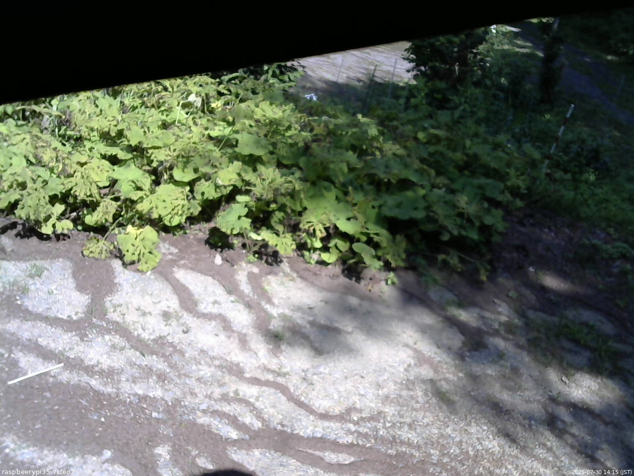 長野県菅平高原 ゆたか山荘 駐車場 2025/07/30 14:15