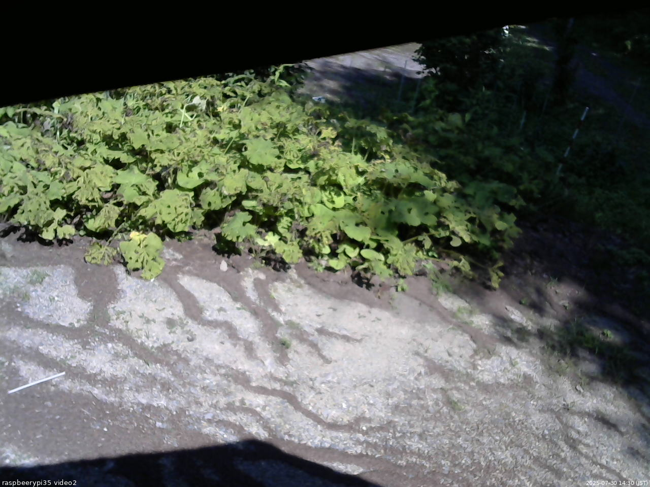 長野県菅平高原 ゆたか山荘 駐車場 2025/07/30 14:30