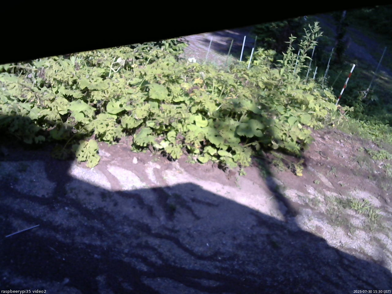 長野県菅平高原 ゆたか山荘 駐車場 2025/07/30 15:30