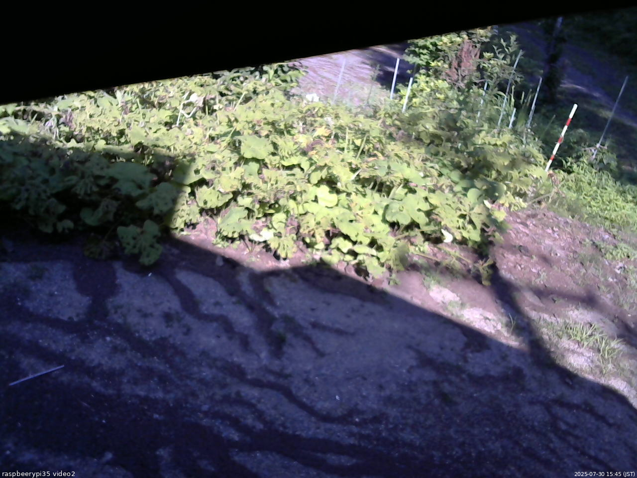 長野県菅平高原 ゆたか山荘 駐車場 2025/07/30 15:45