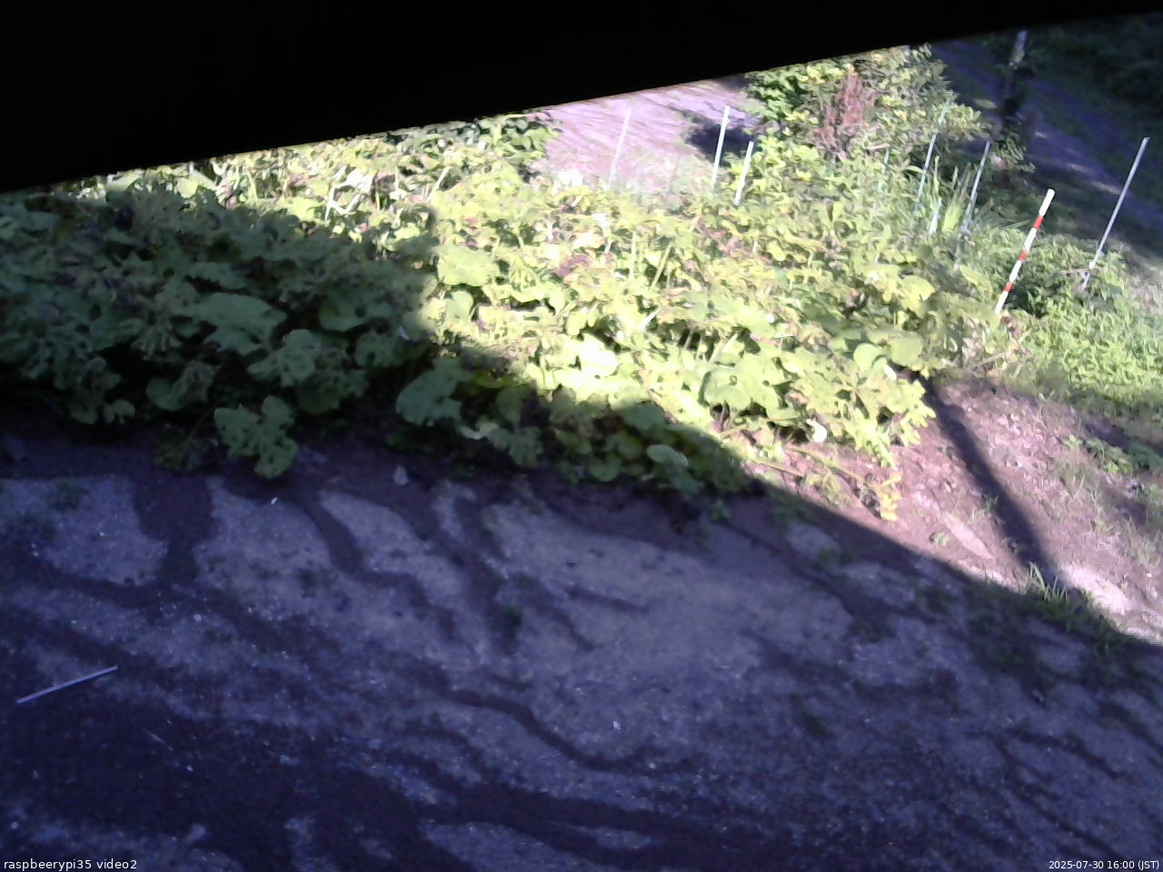 長野県菅平高原 ゆたか山荘 駐車場 2025/07/30 16:00