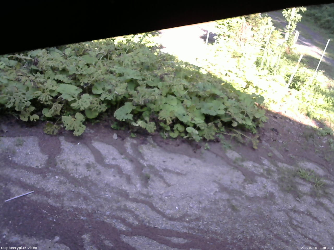 長野県菅平高原 ゆたか山荘 駐車場 2025/07/30 16:30
