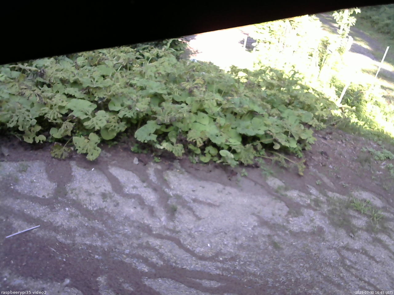長野県菅平高原 ゆたか山荘 駐車場 2025/07/30 16:45