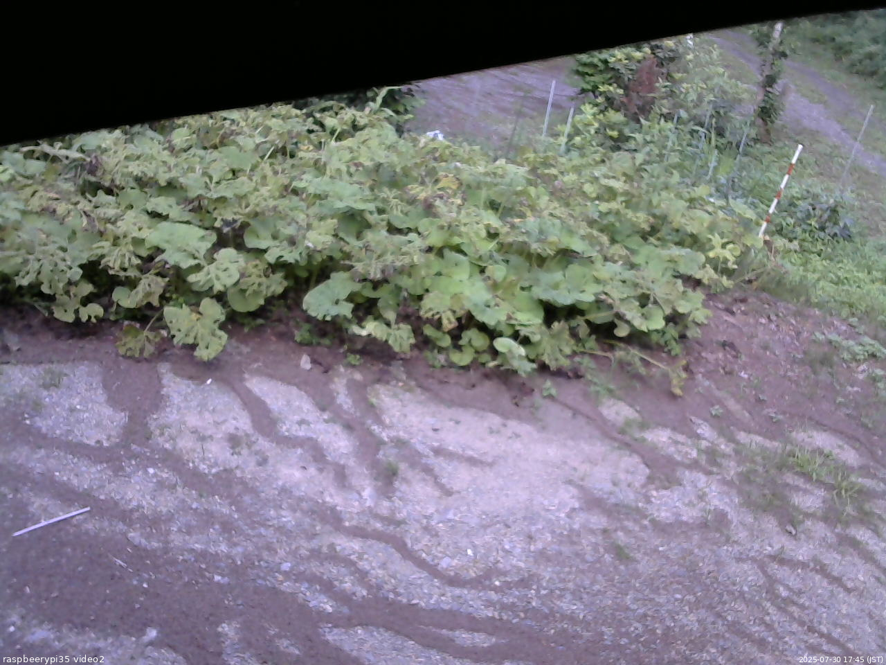 長野県菅平高原 ゆたか山荘 駐車場 2025/07/30 17:45