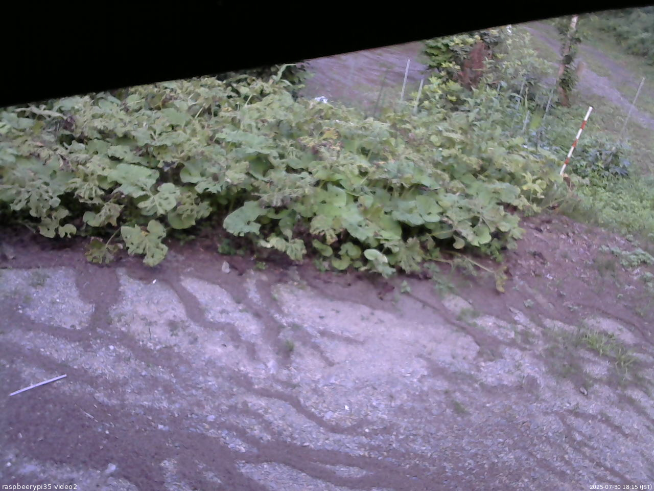 長野県菅平高原 ゆたか山荘 駐車場 2025/07/30 18:15
