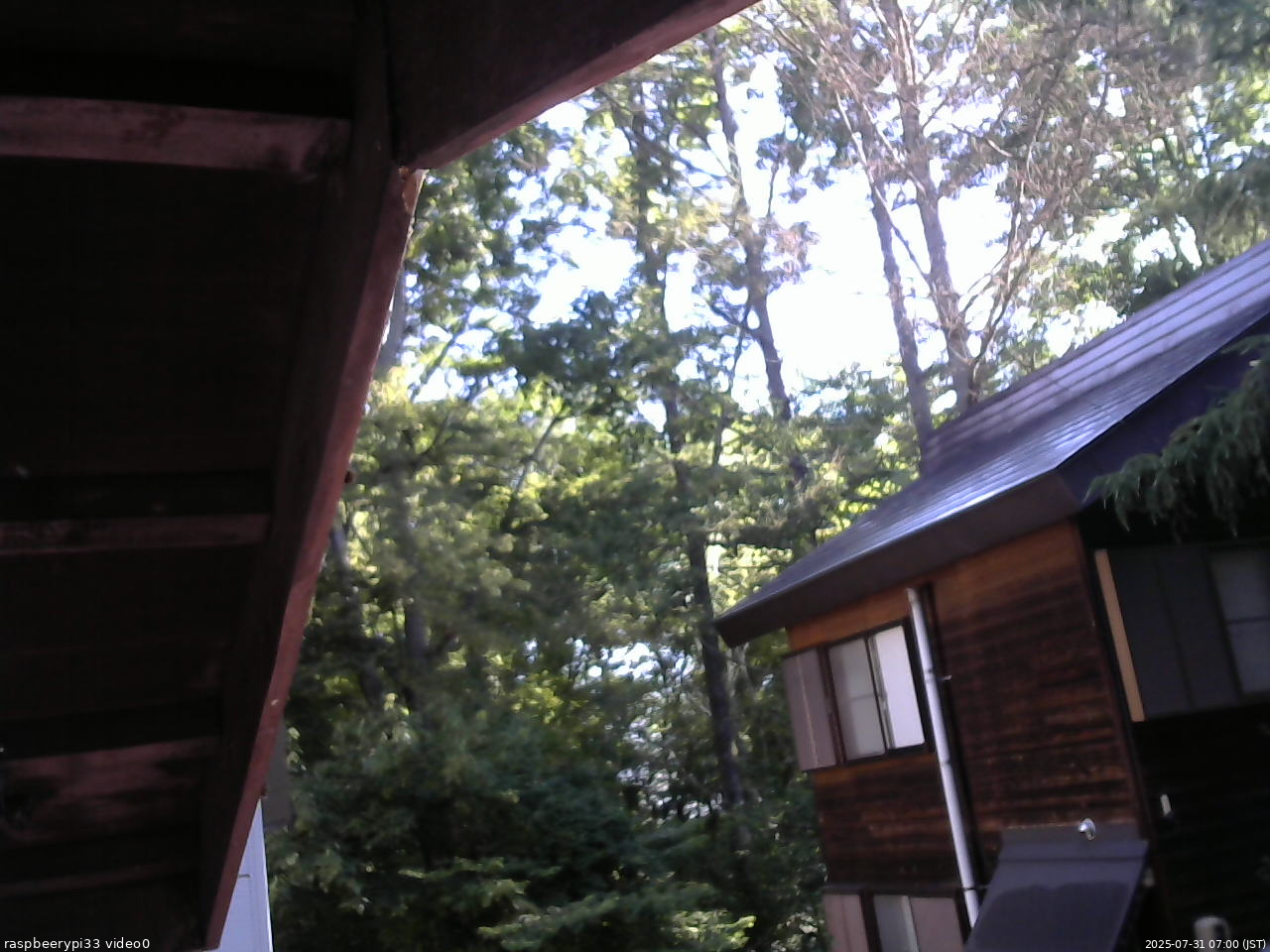 長野県菅平高原 ゆたか山荘 北側 2025/07/31 07:00