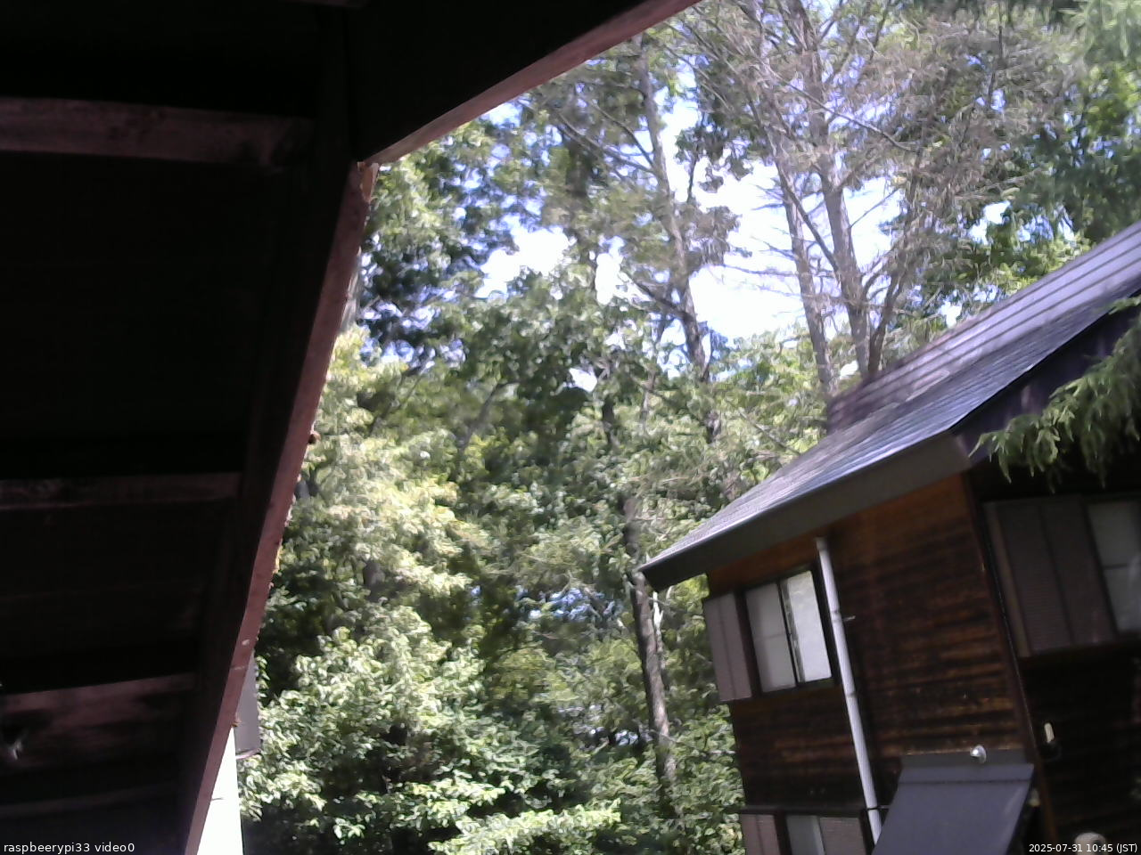 長野県菅平高原 ゆたか山荘 北側 2025/07/31 10:45