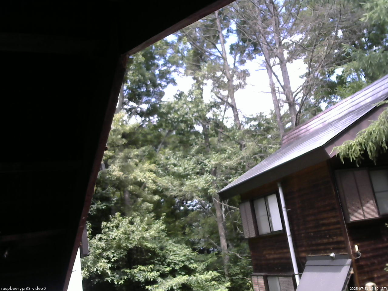 長野県菅平高原 ゆたか山荘 北側 2025/07/31 12:30