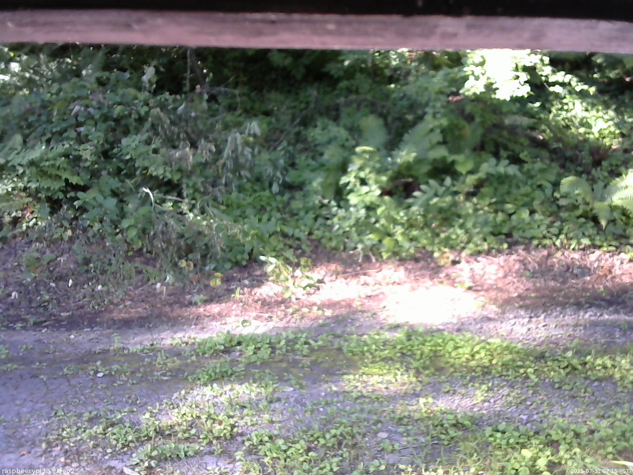 長野県菅平高原 ゆたか山荘 南側 2025/07/31 07:15
