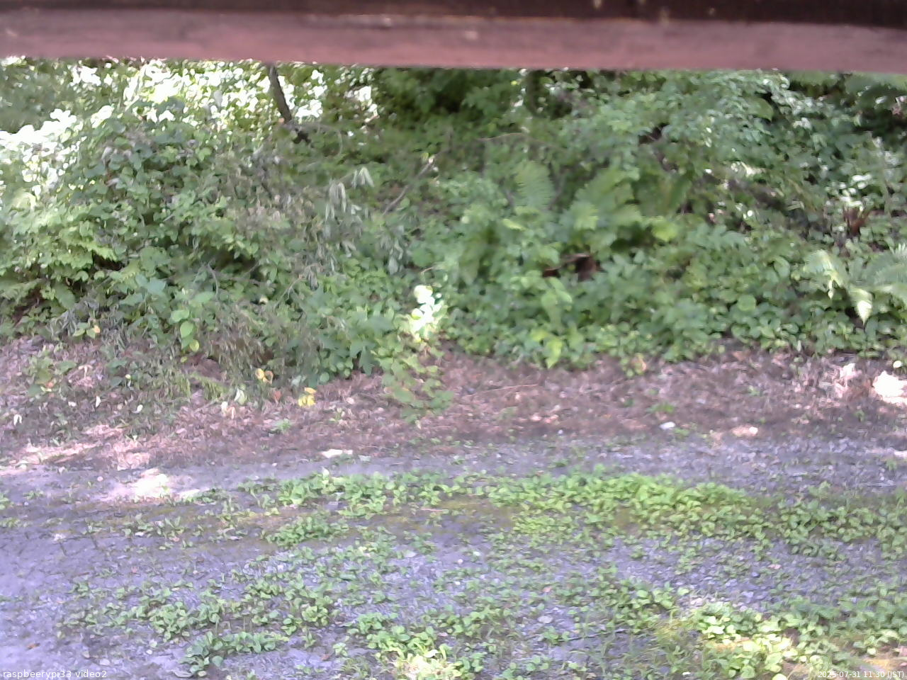 長野県菅平高原 ゆたか山荘 南側 2025/07/31 11:30