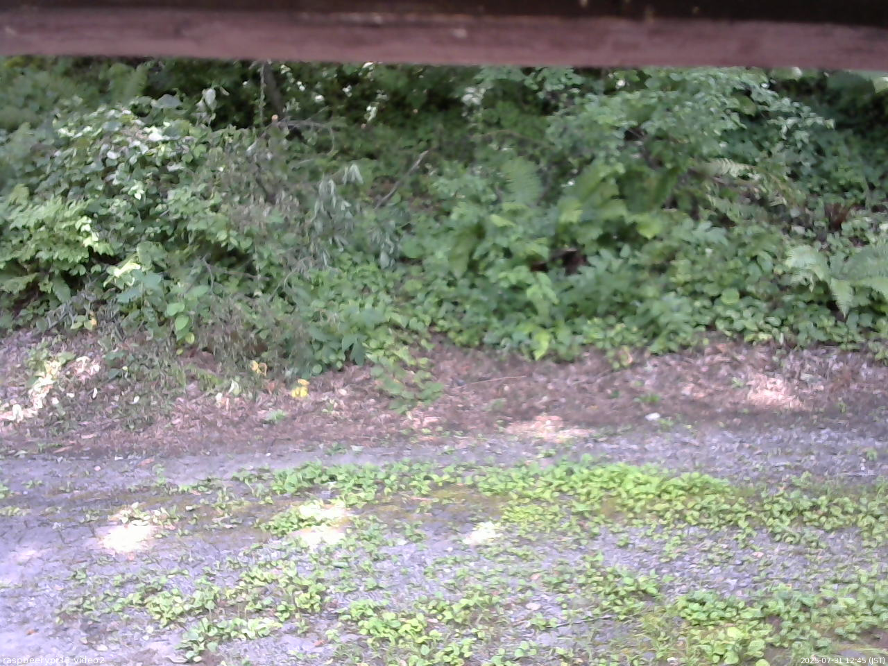 長野県菅平高原 ゆたか山荘 南側 2025/07/31 12:45