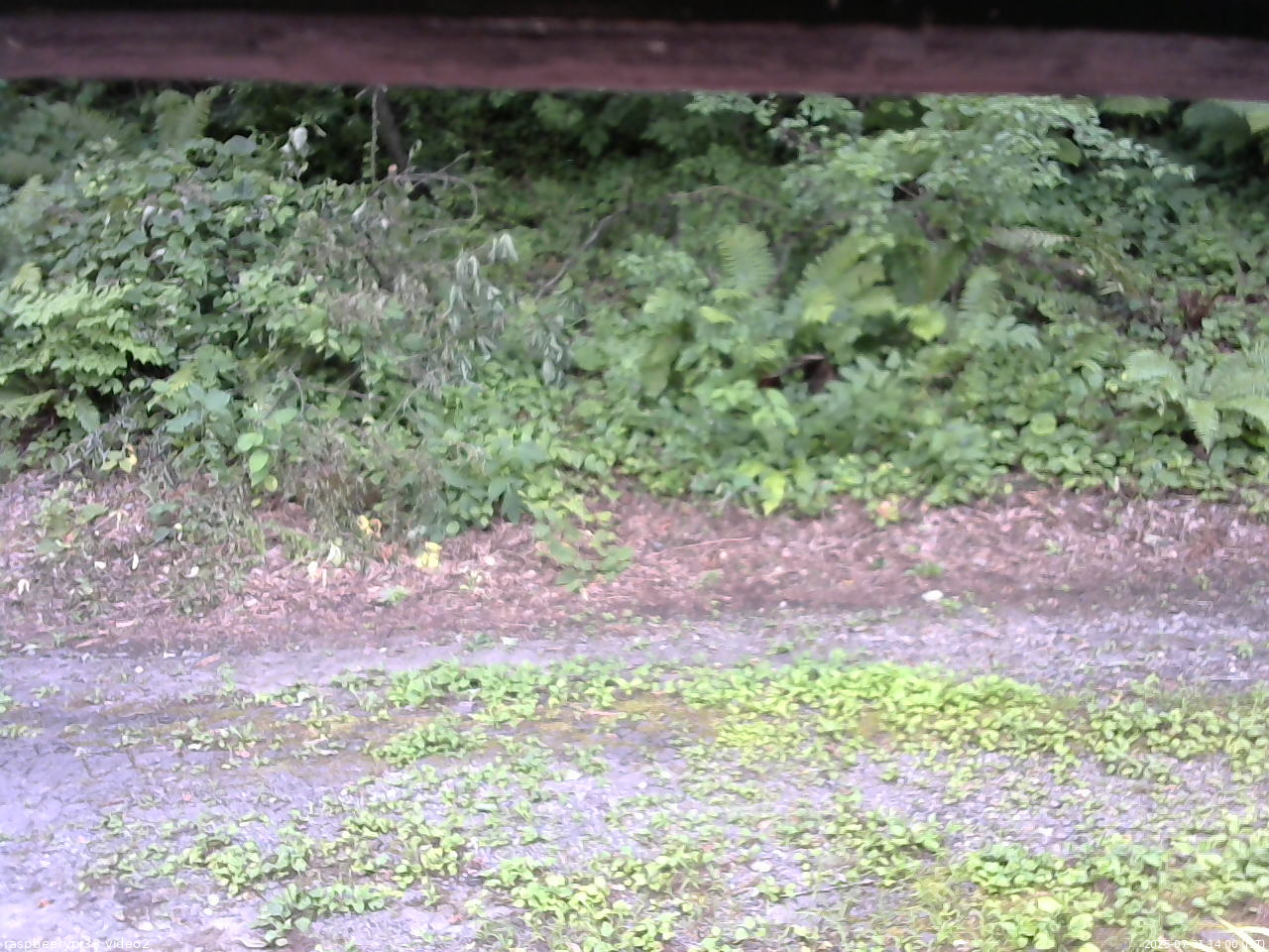 長野県菅平高原 ゆたか山荘 南側 2025/07/31 14:00