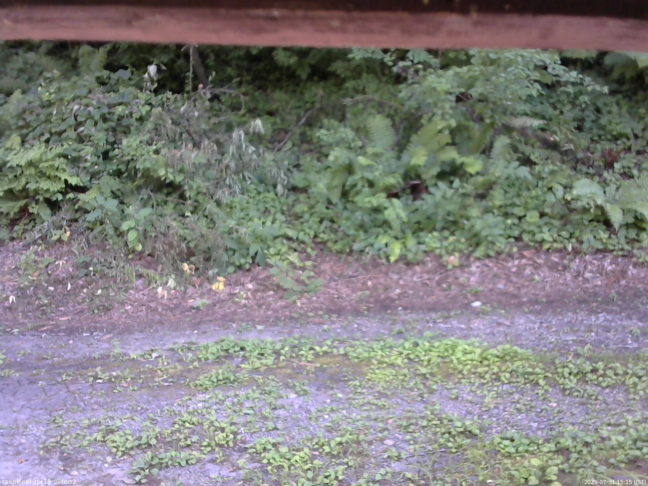 長野県菅平高原 ゆたか山荘 南側 2025/07/31 15:15