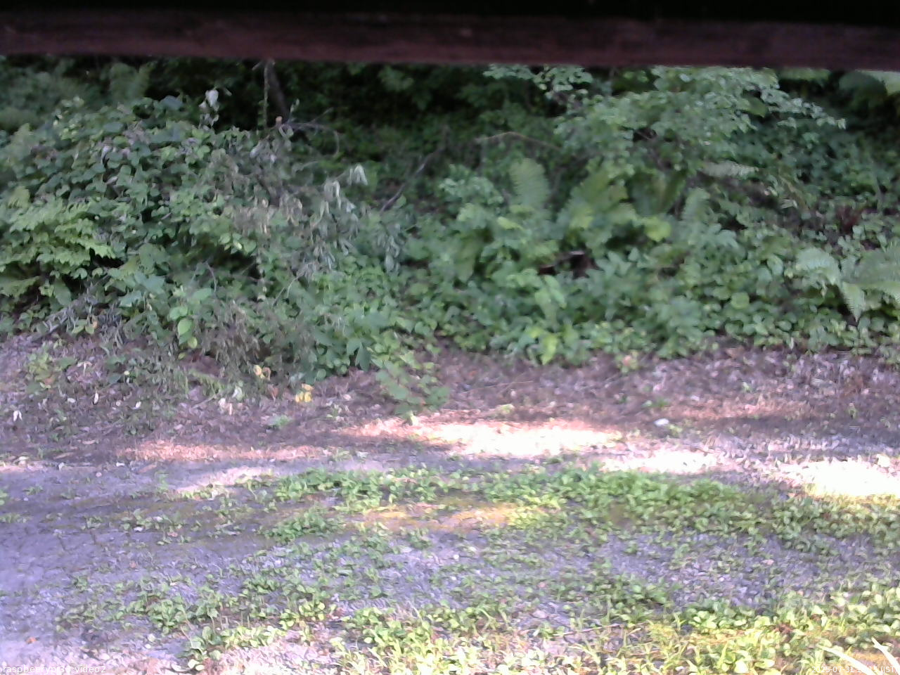長野県菅平高原 ゆたか山荘 南側 2025/07/31 16:15