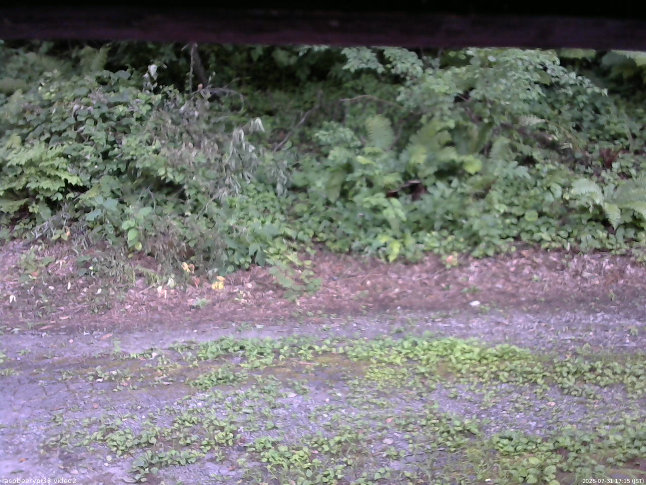 長野県菅平高原 ゆたか山荘 南側 2025/07/31 17:15