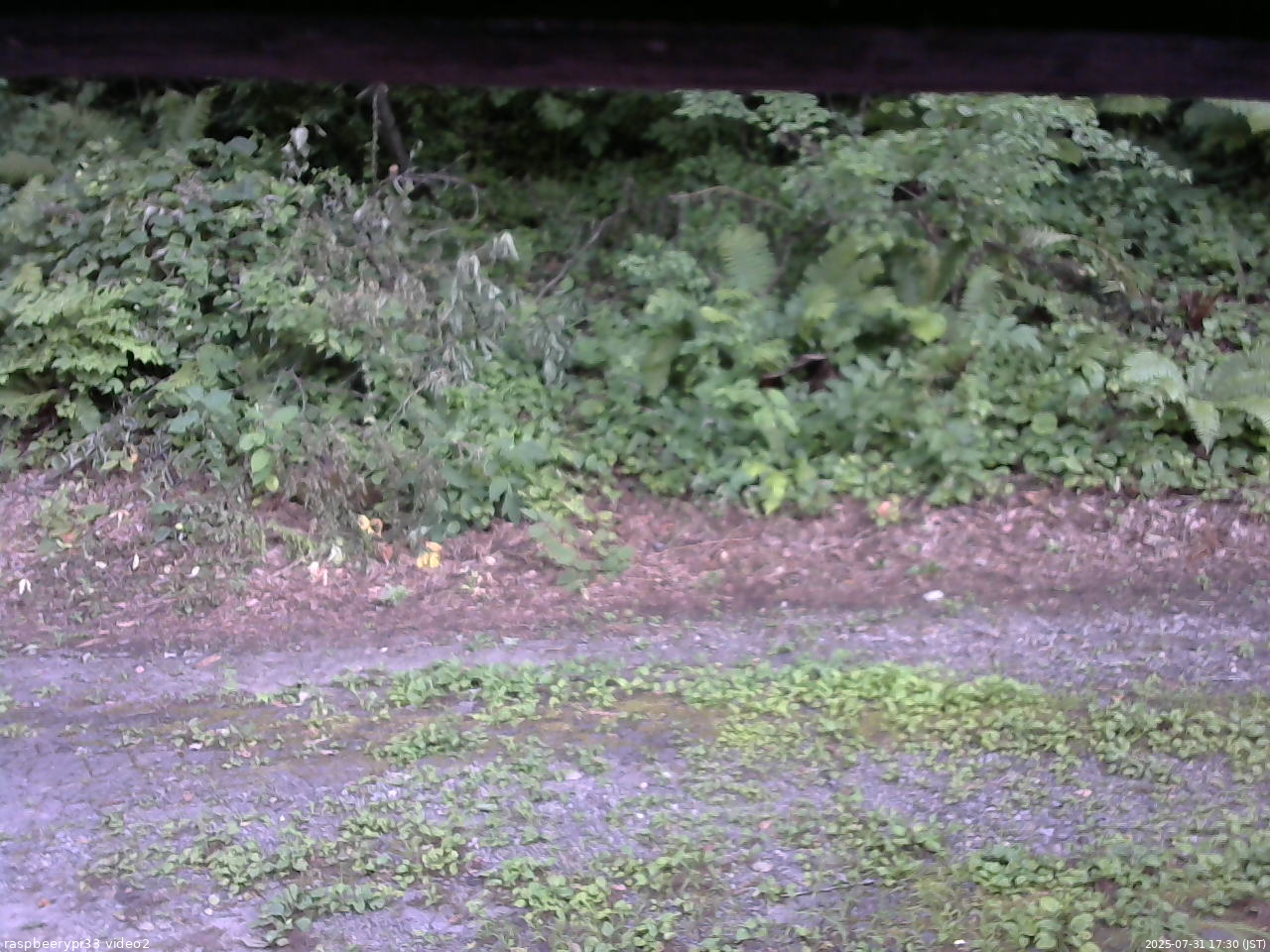 長野県菅平高原 ゆたか山荘 南側 2025/07/31 17:30