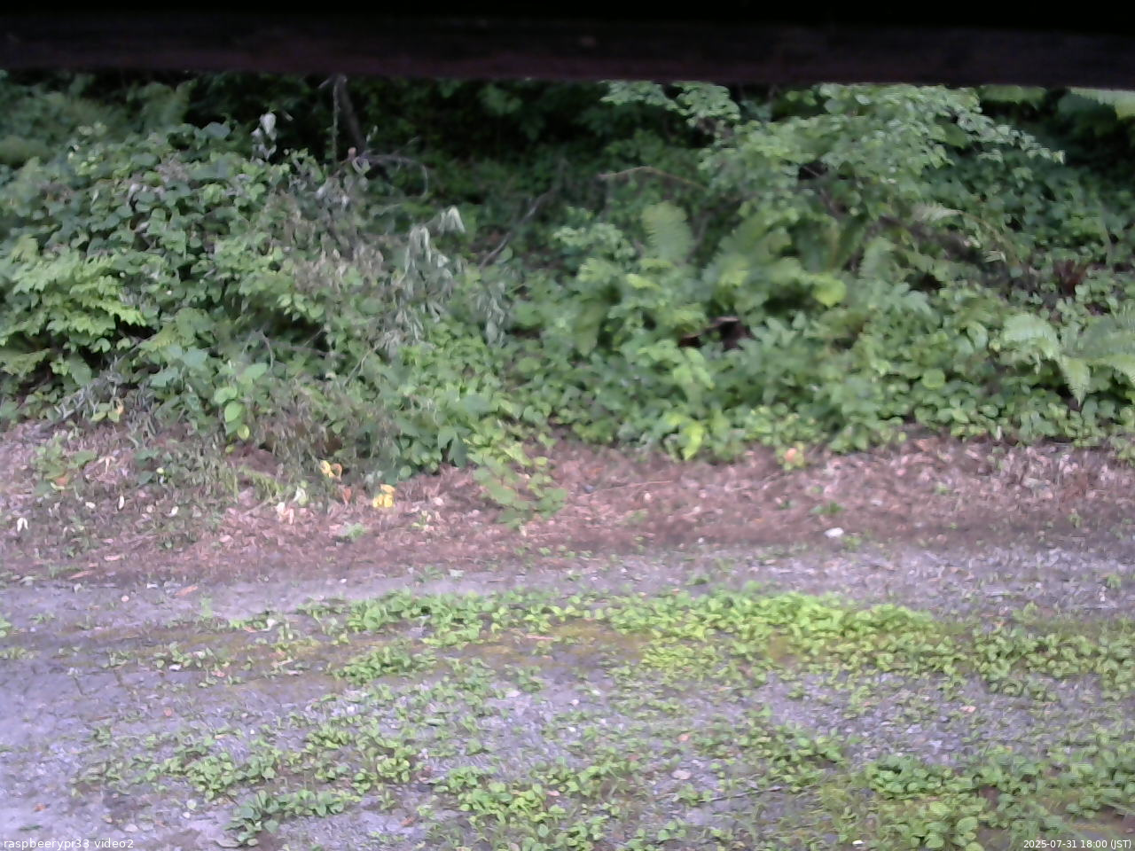 長野県菅平高原 ゆたか山荘 南側 2025/07/31 18:00