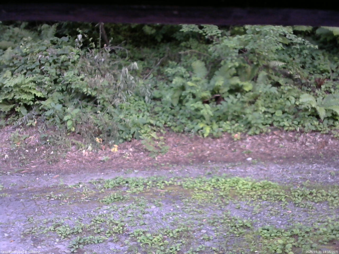 長野県菅平高原 ゆたか山荘 南側 2025/07/31 18:15