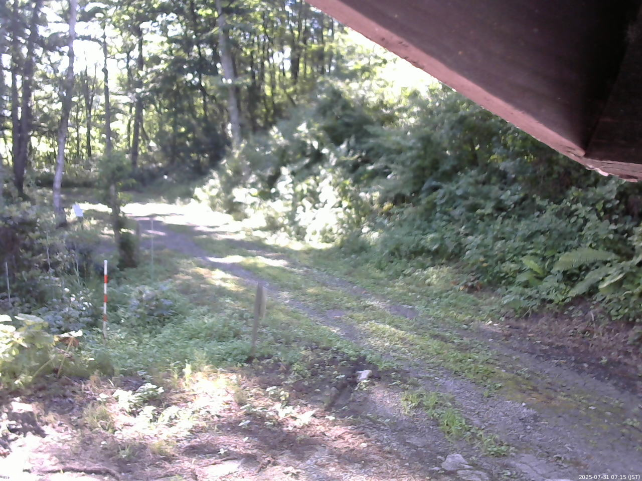 長野県菅平高原 ゆたか山荘 東側(坂下) 2025/07/31 07:15