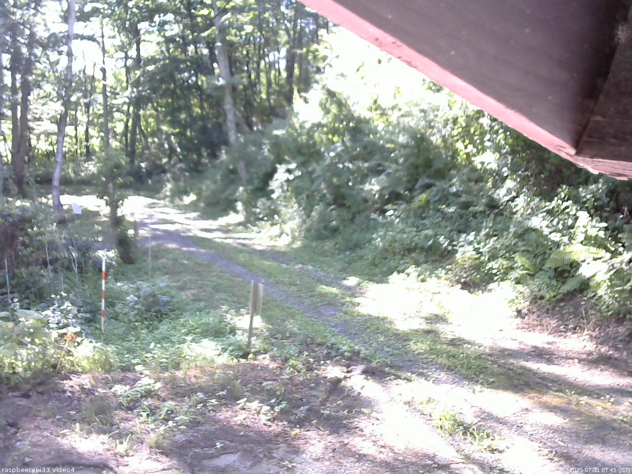長野県菅平高原 ゆたか山荘 東側(坂下) 2025/07/31 07:45