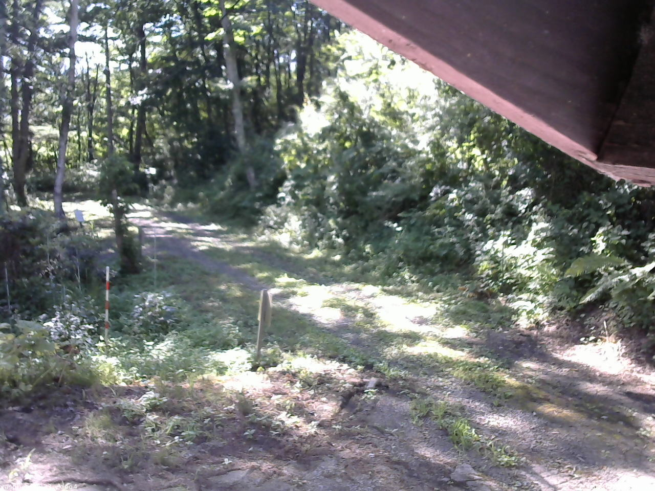 長野県菅平高原 ゆたか山荘 東側(坂下) 2025/07/31 08:00