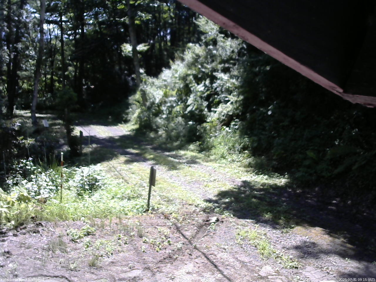 長野県菅平高原 ゆたか山荘 東側(坂下) 2025/07/31 09:15