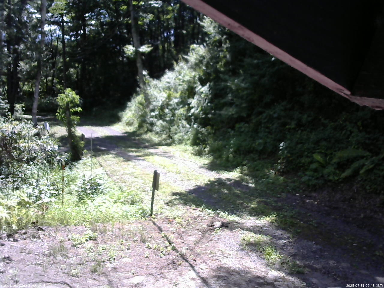 長野県菅平高原 ゆたか山荘 東側(坂下) 2025/07/31 09:45