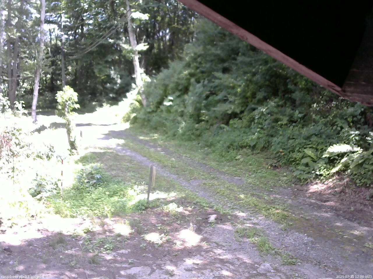 長野県菅平高原 ゆたか山荘 東側(坂下) 2025/07/31 12:00