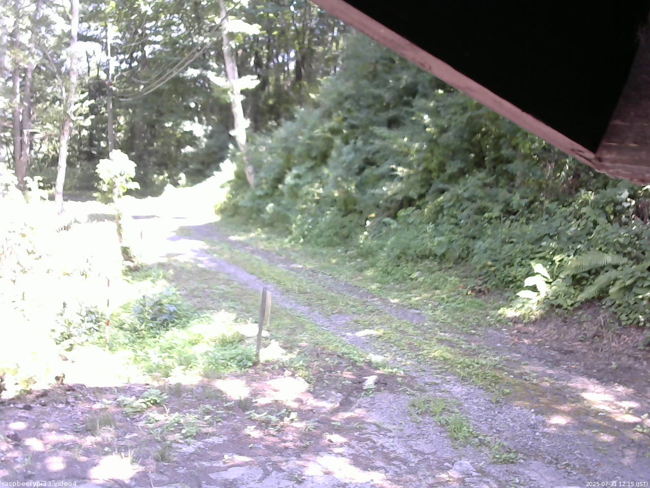 長野県菅平高原 ゆたか山荘 東側(坂下) 2025/07/31 12:15