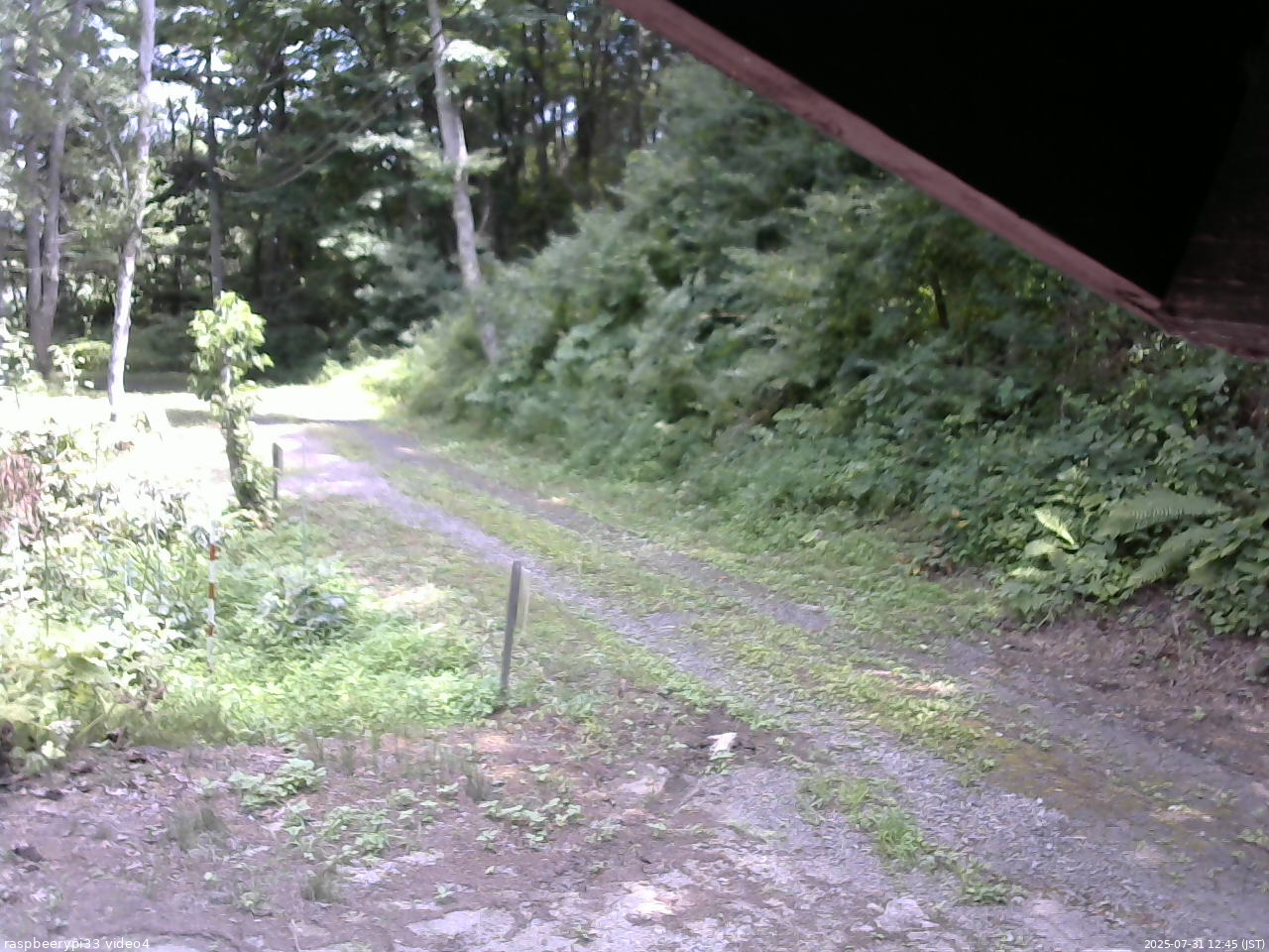 長野県菅平高原 ゆたか山荘 東側(坂下) 2025/07/31 12:45