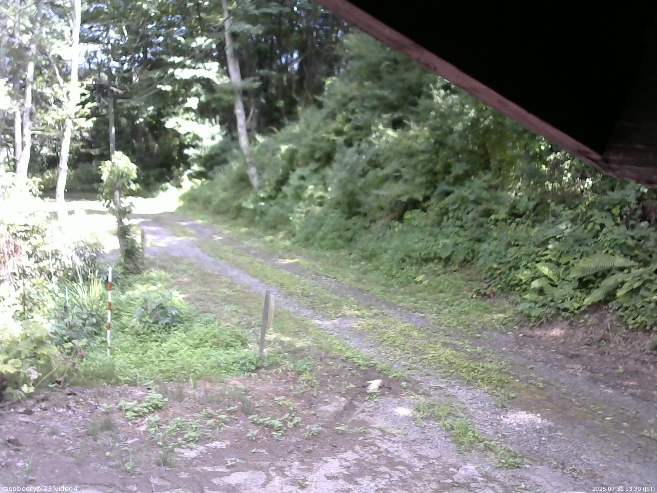 長野県菅平高原 ゆたか山荘 東側(坂下) 2025/07/31 13:30