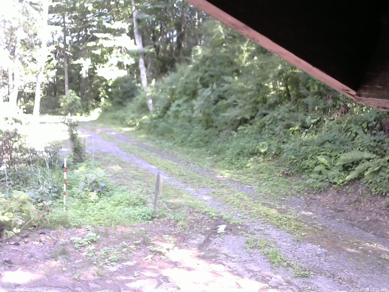 長野県菅平高原 ゆたか山荘 東側(坂下) 2025/07/31 14:15