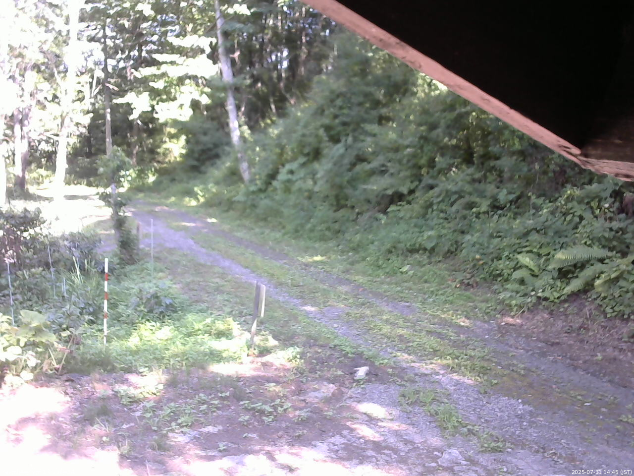 長野県菅平高原 ゆたか山荘 東側(坂下) 2025/07/31 14:45