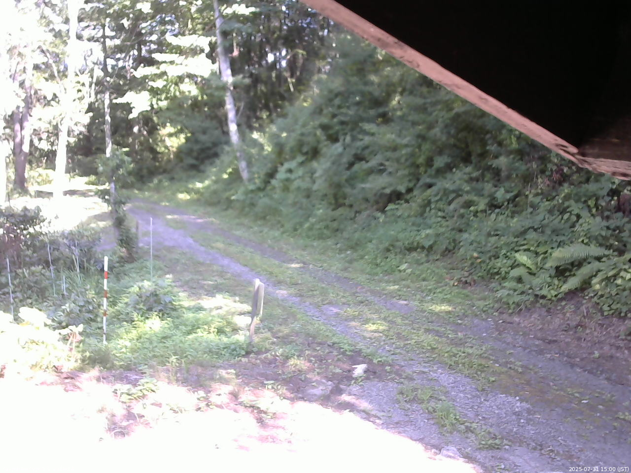 長野県菅平高原 ゆたか山荘 東側(坂下) 2025/07/31 15:00