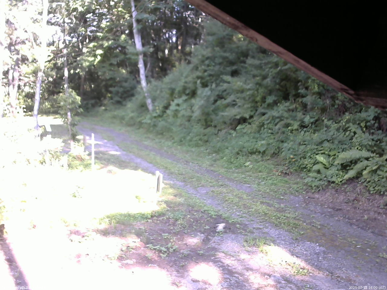 長野県菅平高原 ゆたか山荘 東側(坂下) 2025/07/31 16:00
