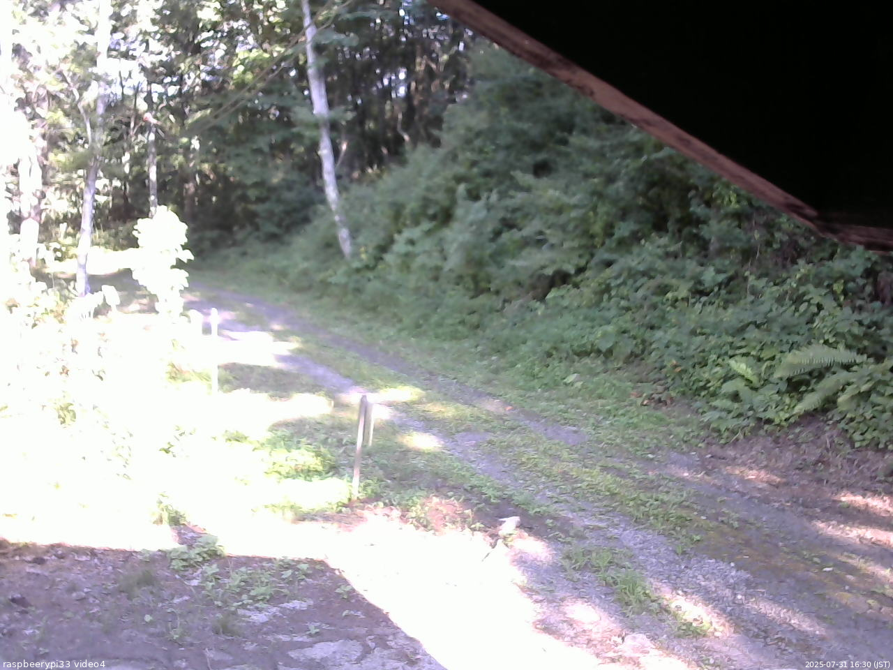 長野県菅平高原 ゆたか山荘 東側(坂下) 2025/07/31 16:30