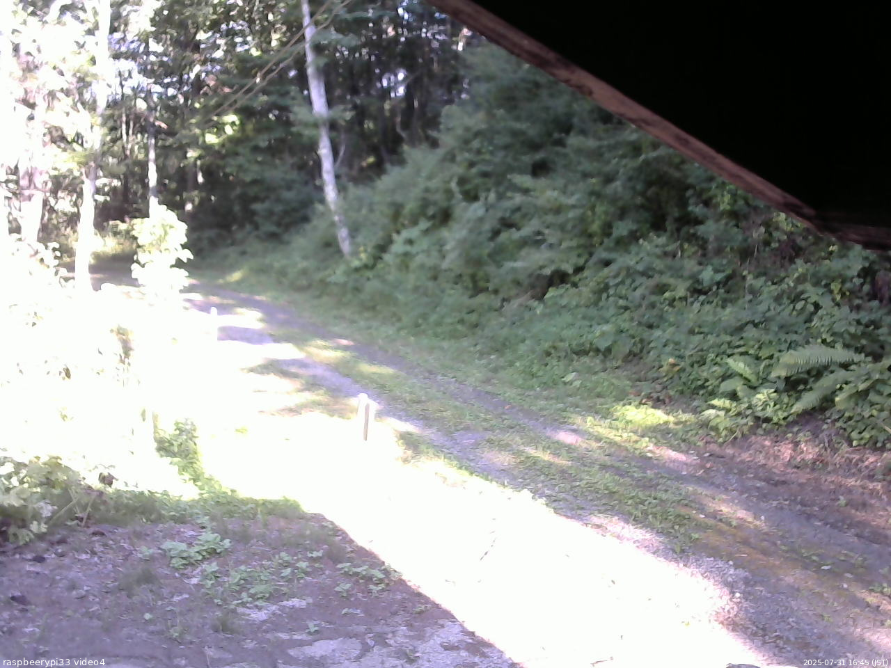 長野県菅平高原 ゆたか山荘 東側(坂下) 2025/07/31 16:45