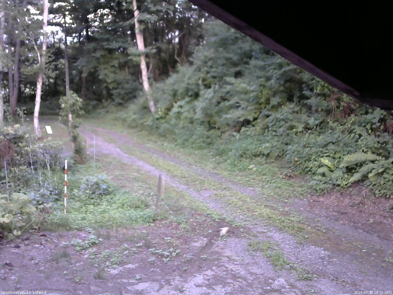長野県菅平高原 ゆたか山荘 東側(坂下) 2025/07/31 18:15