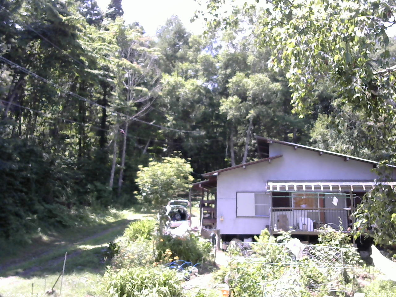 長野県菅平高原 ゆたか山荘 西側(坂上) 2025/07/31 12:15